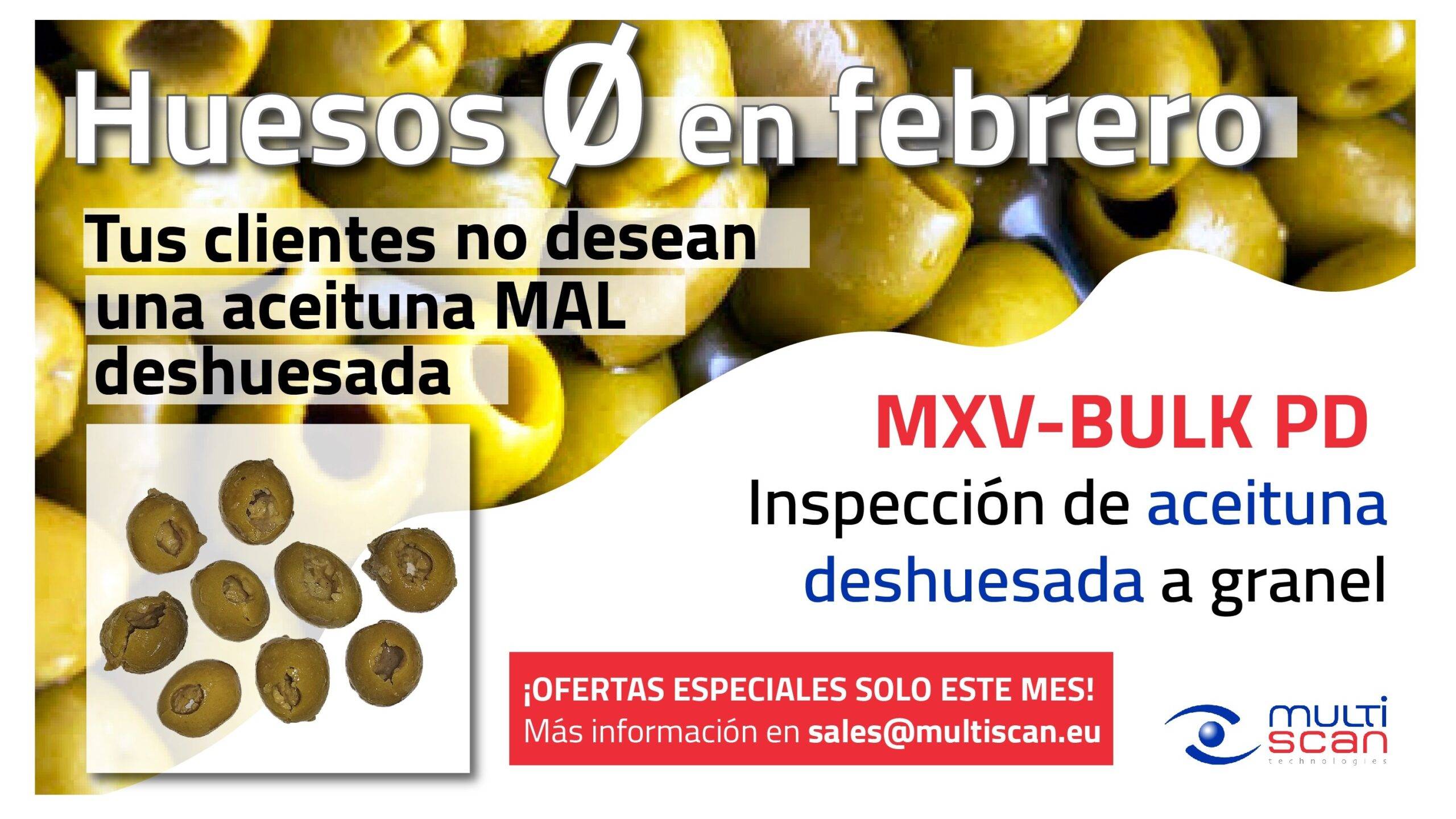 JPG (1)|multiscan-aceitunas-sin-hueso